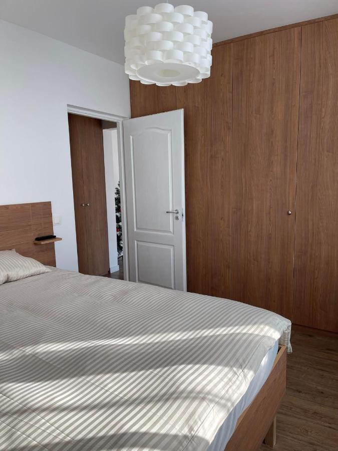 Melissa Home Vatra Dornei Eksteriør billede